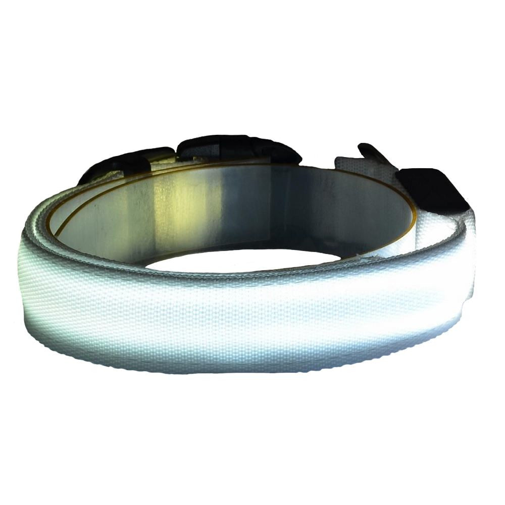 Collier LED DEL pour chien chat animaux blanc RGB XS