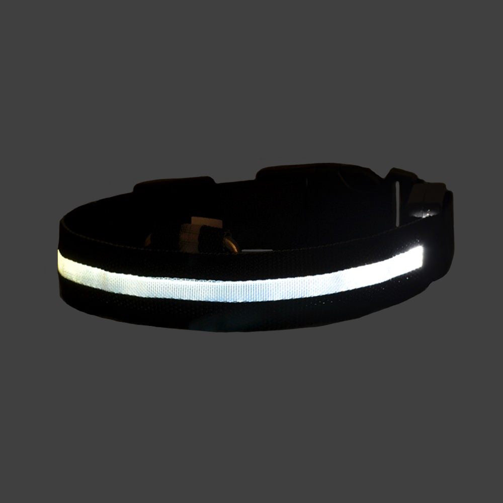 Collier LED DEL pour chien chat animaux noir blanc RGB