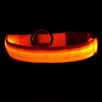 Collier LED DEL pour chien chat animaux orange