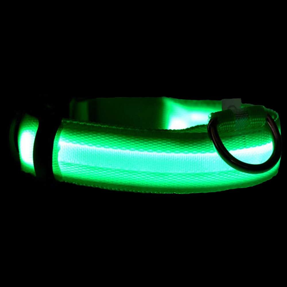 Collier LED DEL pour chien chat animaux vert