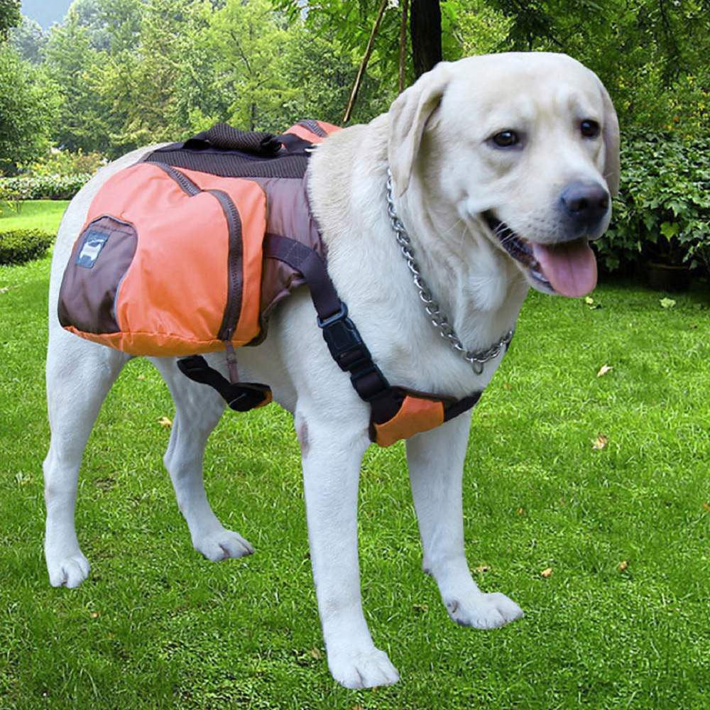 sac à dos pour chien avec harnais, repliable, orange
